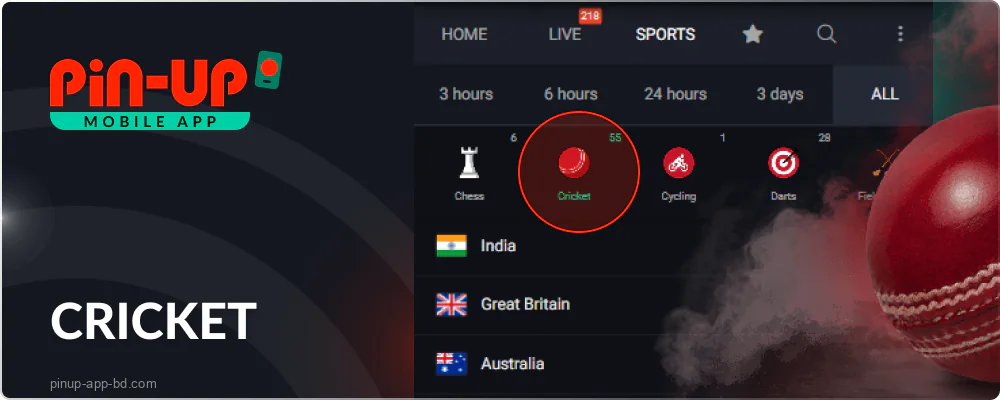 Cricket betting on the Pin Up app