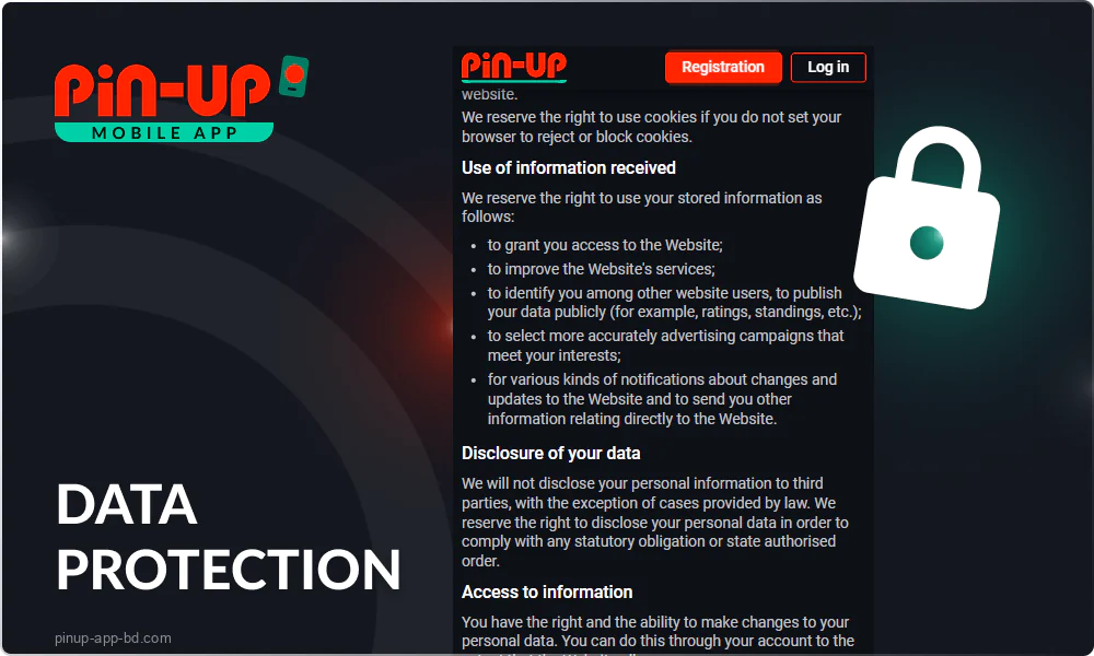 How Pin Up protects user data