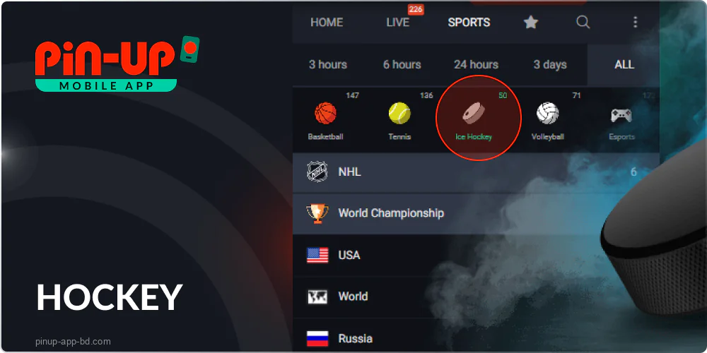 Hockey betting on the Pin Up app