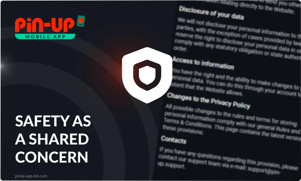 Pin Up App Security