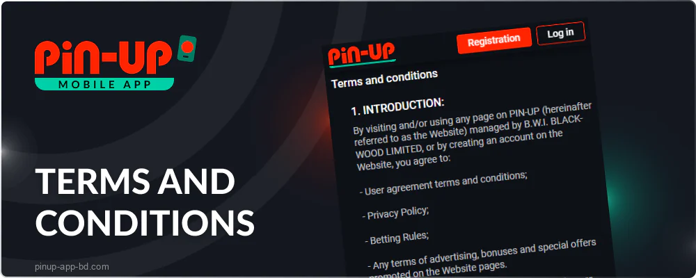 Pin Up Terms & Conditions