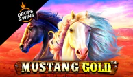 Mustang Gold