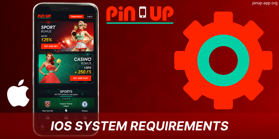 Pin Up iOS app settings
